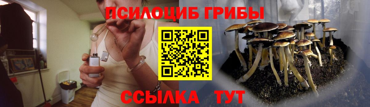 Псилоцибиновые грибы мухоморы Губкинский